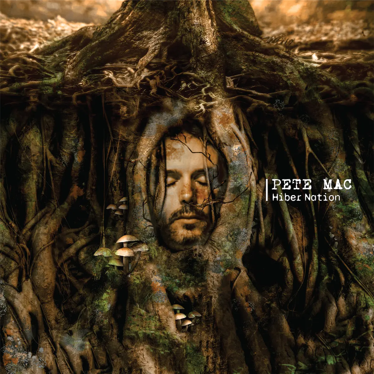 photo of Pete Mac musician